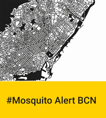 Mosquito Alert Barcelona